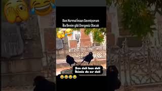 Aranan Kankamı Buldum Kara Ama Yapacak Bişey Yok. Ülmekgaranti