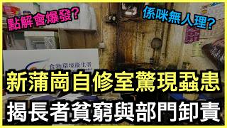 圖書館隱患|新蒲崗自修室爆蝨患!揭社區危機!去圖書館分分鐘惹禍?|土炮新聞台