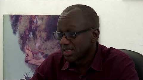 Ivory Coast battles to save cocoa-ravaged forests