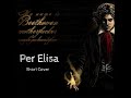 Per Elisa - Beethoven - Arrangement Electric Guitar e Piano by Giovanni Vetrano feat M° Gianni Ronga