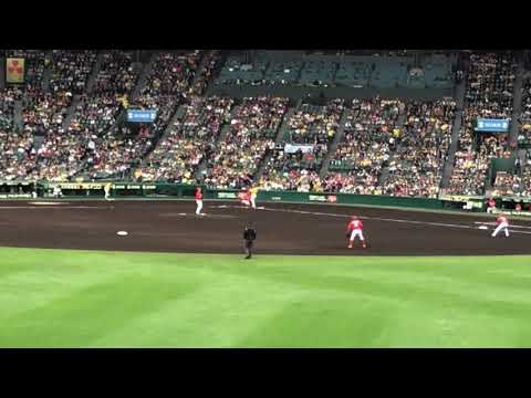 2019年５月１日阪神vs広島（甲子園）マルテ応援歌