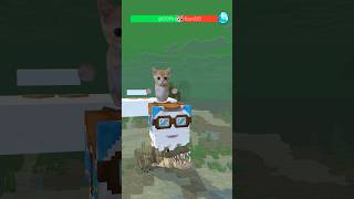 Cat and Crocodile 3
