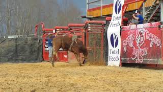 Davis Rodeo 6x1