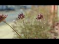Make It Uneasy   Lyric Video