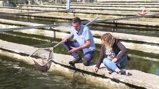 Trucha en mayo y el resto del año | El Correvuela