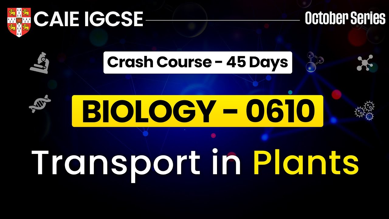 IGCSE Biology 0610 : Transport in Plants IGCSE | Cambridge IGCSE ...