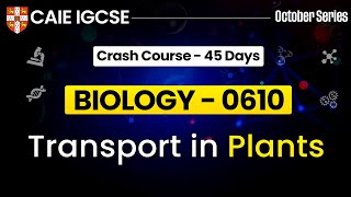 IGCSE Biology 0610 : Transport in Plants IGCSE | Cambridge IGCSE Biology | IGCSE Biology screenshot 2