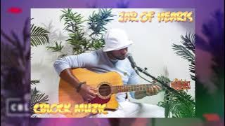 Cblock muzic -Jar of heart(acoustic)