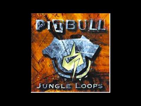 UniversSons - Pit Bull - Jungle Loops