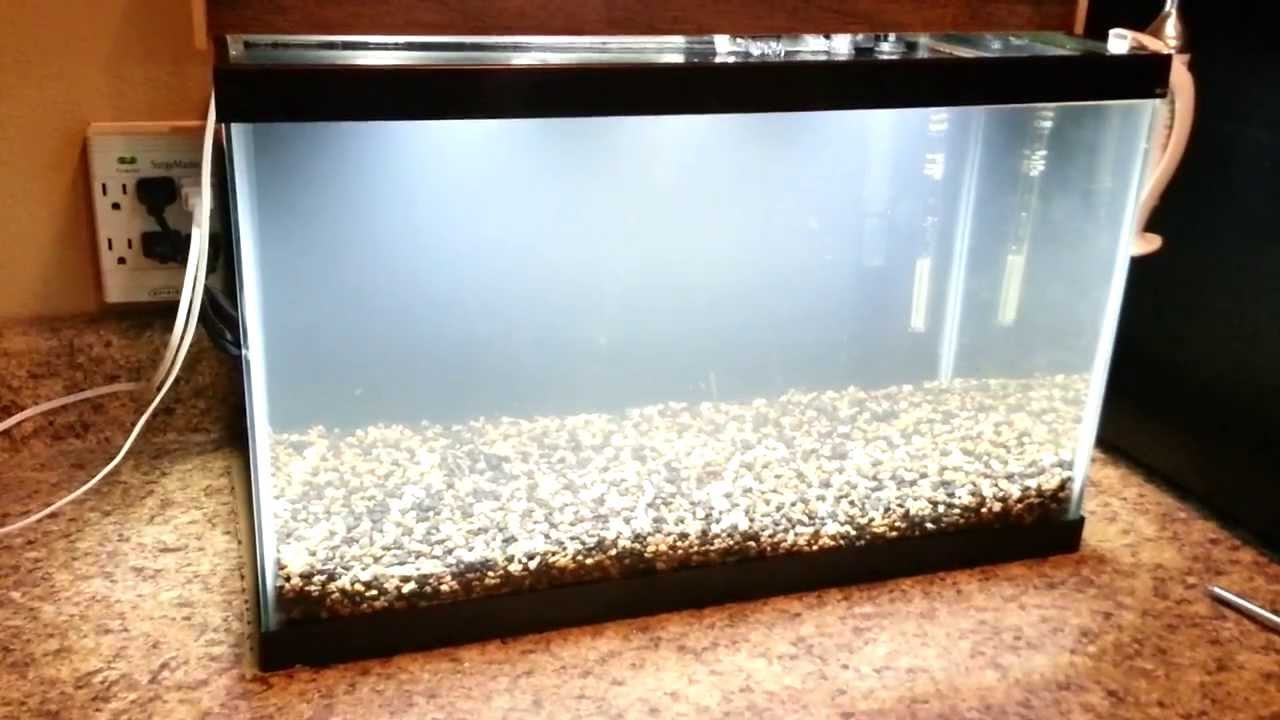 DIY LED light for 10g planted tank 