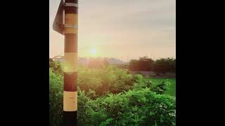 파란노을 (Parannoul) - Into the Endless Night