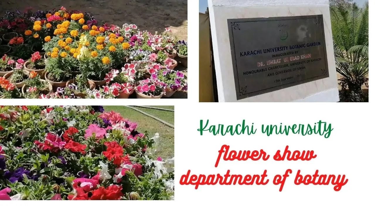 Karachi University Botanical Garden flower show department of Botany Karachi Biggest Flower Show