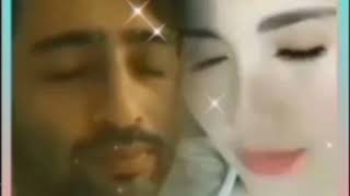 Download Lagu #ayutingting #shaheernsheikh        KEBERSAMAAN SHAHEER & AYU SELALU DITUNGGU, SEMOGA CEPAT BERSAMA