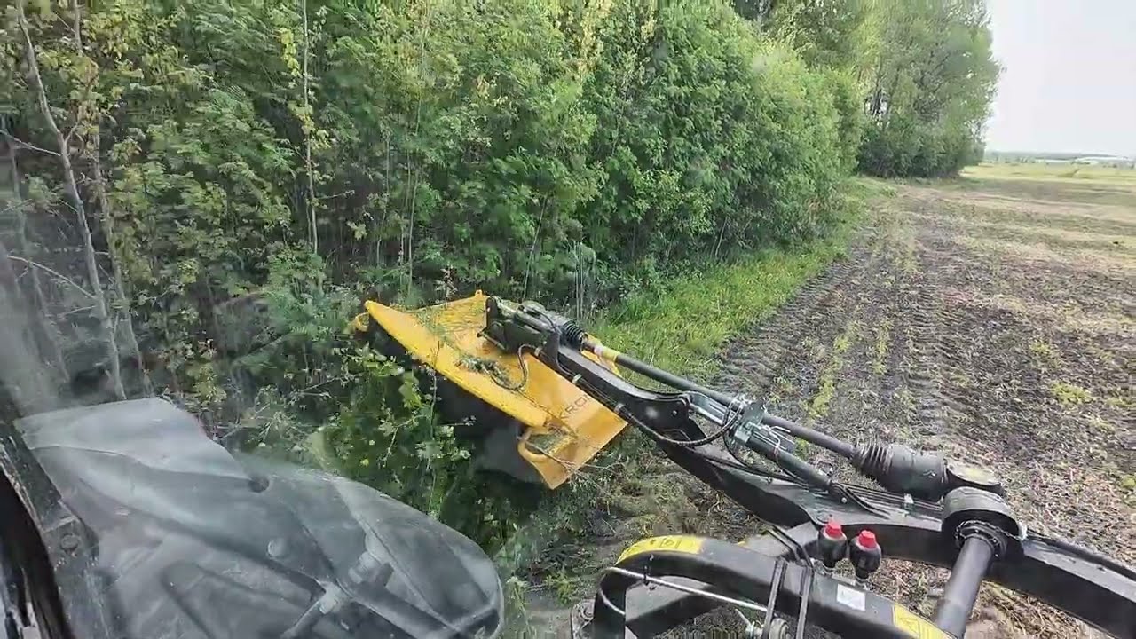 Kronos predator ketjumuskaajalla vesakkoa matalaksi