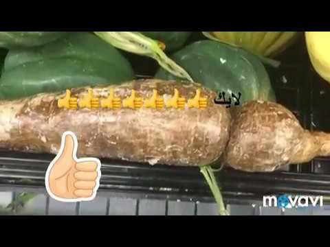 فيديو: استخدام الكسافا للتابيوكا - تعلم كيفية صنع التابيوكا من جذور الكسافا