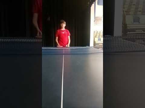 Two Dingises Play Pingpong 