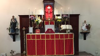 ⁣Traditional Latin Mass Tuesday 29 August 2023 @St Anne’s - Beheading of St John the Baptist