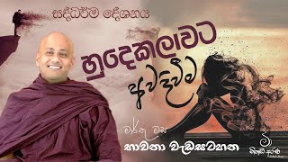 හුදෙකලාවට අවදි වීම ~ 05 කොටස  |  Ven Aluthgamgoda Gnanaweera Thero | නිහඬ අරණ