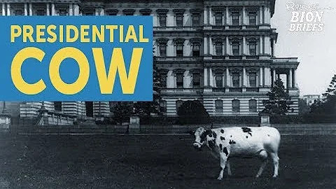 Taft's Presidential Cow: Pauline Wayne