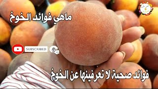 فوائد الخوخ الهائلة للجسم!! بعد سماعك لفوائده الرائعة لن تستغني عنه