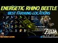 Zelda Breath of the Wild - Energetic Rhino Beetle Locations