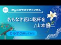 【80歳カラオケ】名もない花に乾杯を/山本譲二