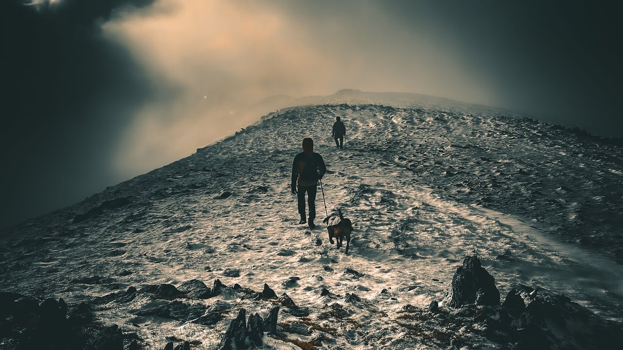 Winter Chaos | Deepdale Round Lake District Hike with Freddie the FoxRed! 
