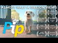 Pip  A Short Animated Film - YouTube
