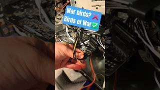 $40 PC Bird Combat #budgetpc #pcbuild #bazzite #gaming @BirdsOfWarGame
