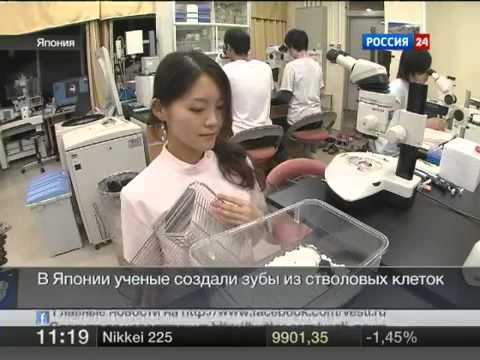 Smart Dentistry - Зубы из стволовых клеток правда или вымысел?