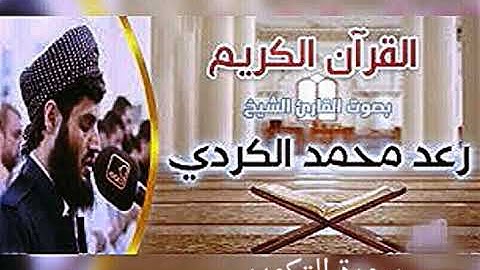 سورة التكوير بصوت القارئ الشيخ رعد الكردي