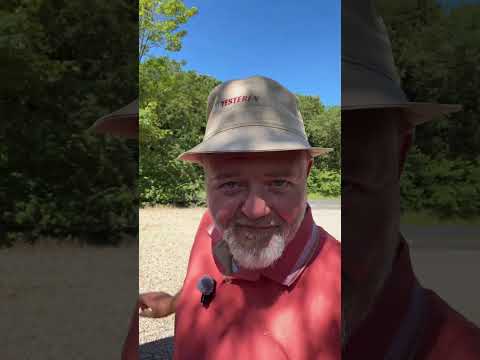 💥Så er der et rigtigt “dametilbud” fra onlineshoppen💥