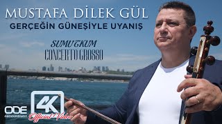 Mustafa Dilek Gül / Sumutkum / Gerçeğin Güneşiyle Uyanış / 4K Official video