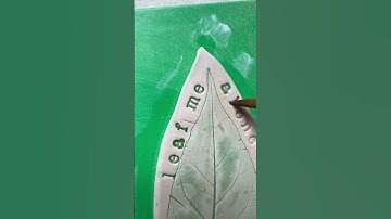 Underglaze inlay. #pottery #clay #leaves #leafart #leafimpression