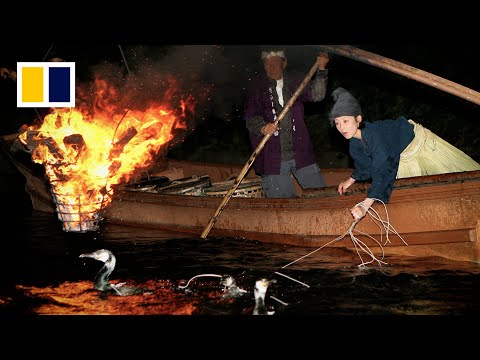 Japanese fishing tradition faces climate threat