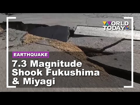7.3 Magnitude Earthquake Hit Fukushima & Miyagi | World Today
