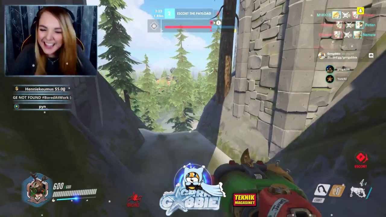 Blizzard pls FIX Happened in ranked