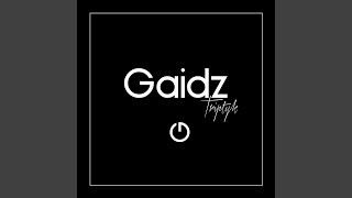 Mr. Robot - Gaidz