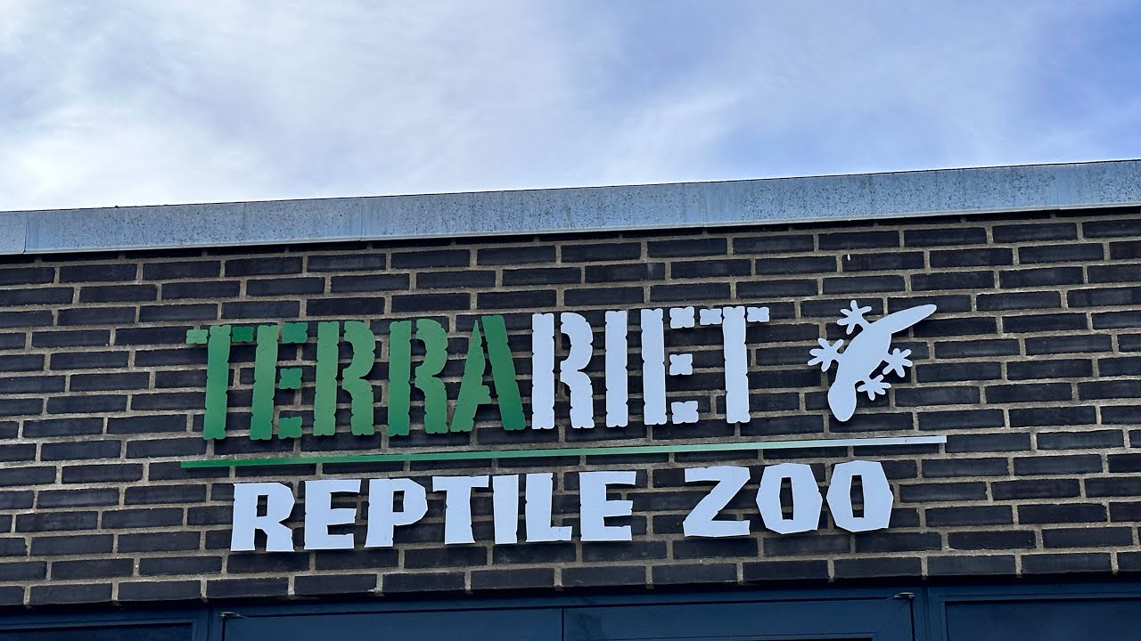 Terrariet i Vissenbjerg og en udfordrende gåtur i bjergene ved Vissenbjerg