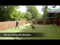 Royvon Complete Dog Training Solution. See how much we can teach your dog in 3 weeks! Royvon Complete Dog Training Solution. See how much we can teach your dog in 3 weeks!