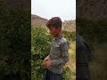 فــــــــکـــر نــکــنـــم