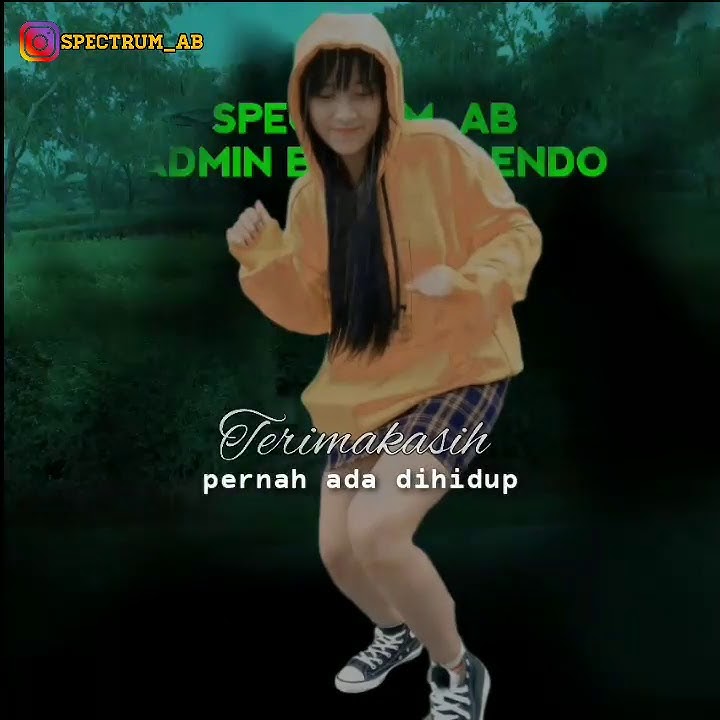 Dj Remix Kang peti x versi faded-Alan Walker 2020