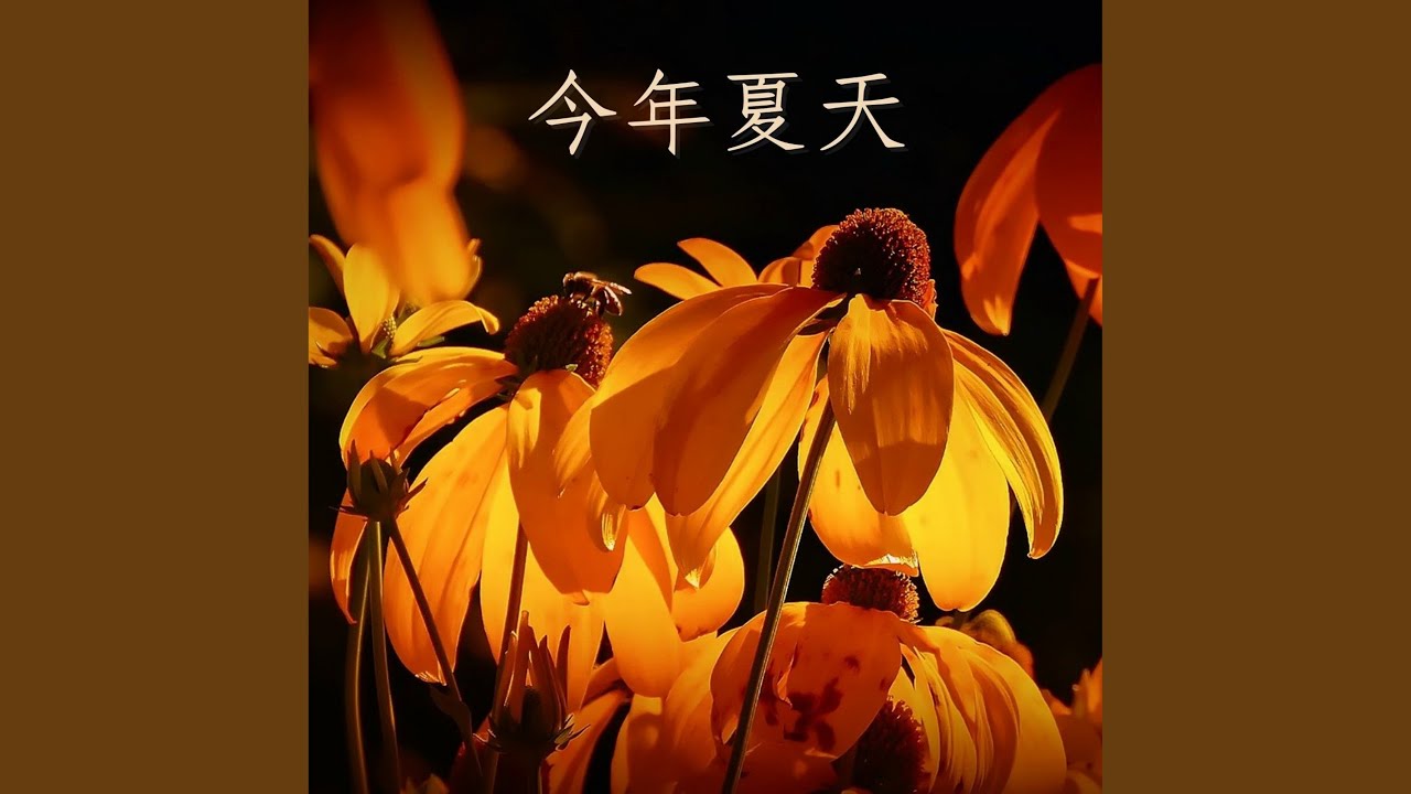 Watch 今年夏天 on YouTube Watch 今年夏天 on YouTube