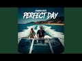 Perfect Day