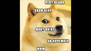 my faevourit memes