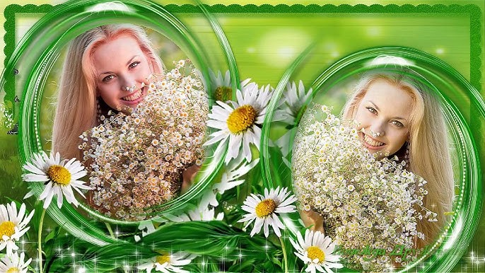 Наташаны туған күніңмен, Ромашка