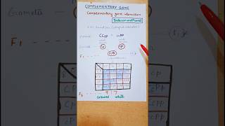 Complementary gene Interaction||Class 12th