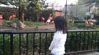 Yuma Chan 57