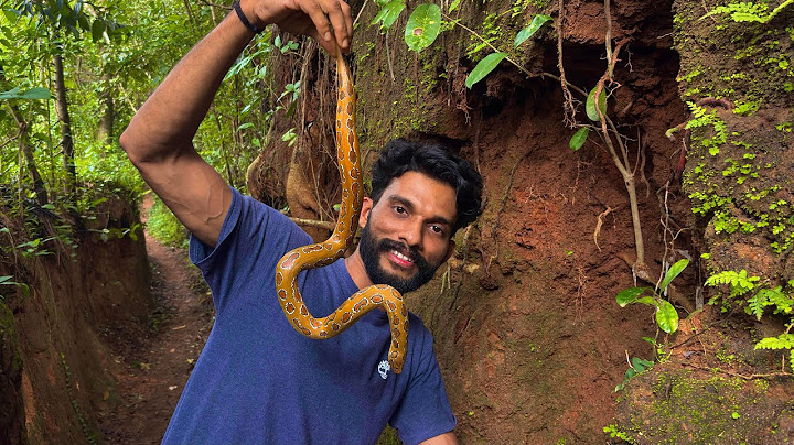 ഇത് ഏതിനം പാമ്പ് ആവോ എന്തോ....🤔🐍
