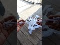 https://s.shopee.co.th/2fvLF4ALzM  ไม้แขวนชุดชั้นในสุดพิเศษ ที่ออกแบบมาเพื่อความถนอมผ้าและการจัดเก็บ